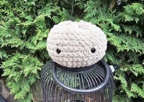 Bao