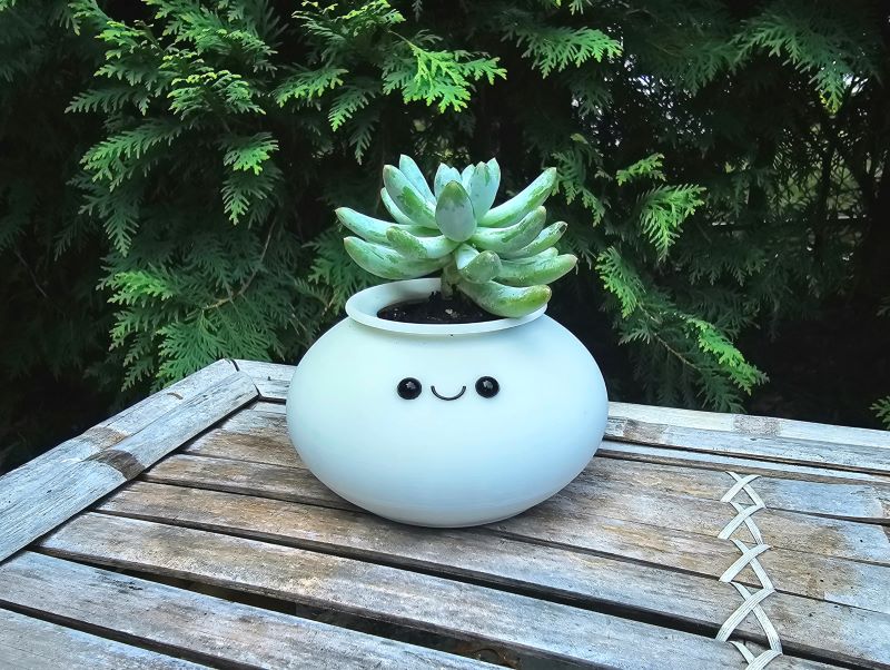 Kawaii Pot