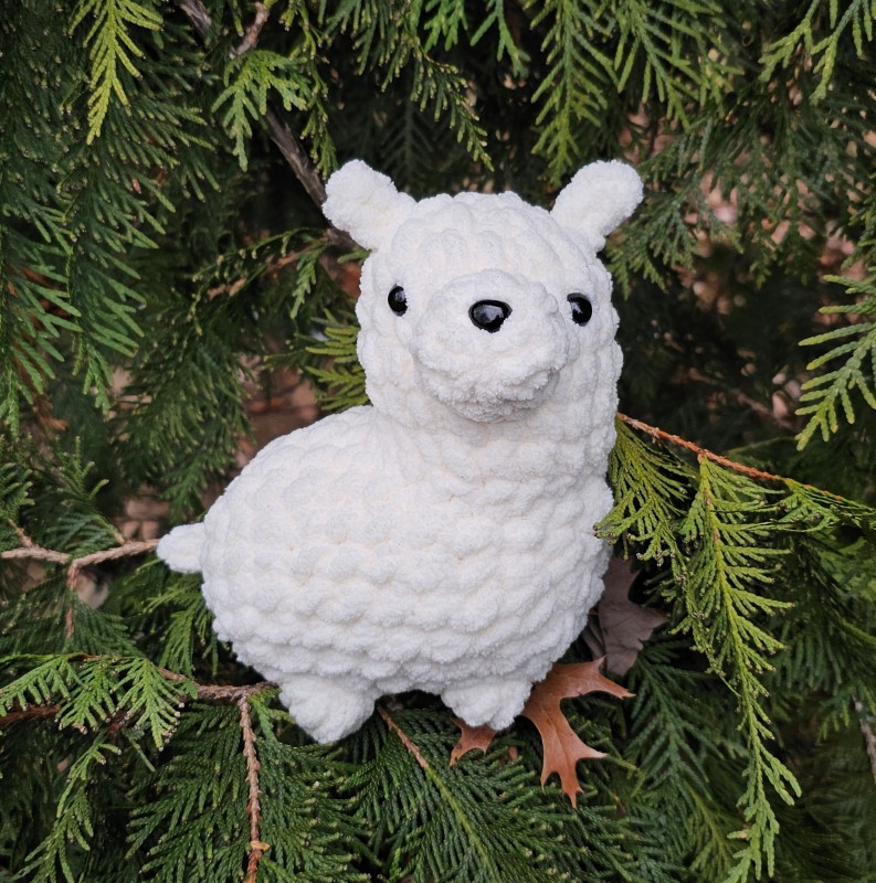 Llama